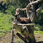 Domaine De Montfort Сasa de vacaciones