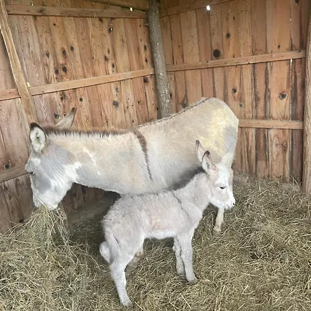 Domaine De Montfort Casa vacanze *