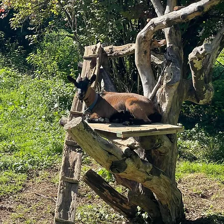 Domaine De Montfort Hébergement de vacances