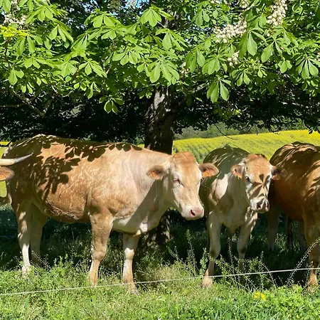 Domaine De Montfort Hébergement de vacances *
