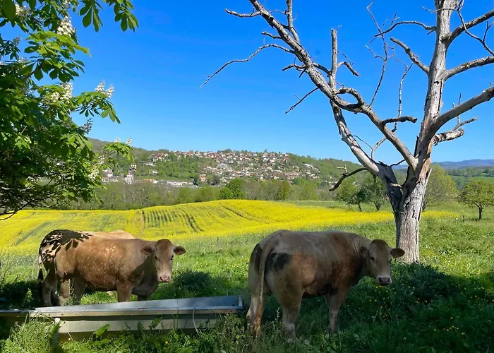 Domaine De Montfort Saint-Lizier